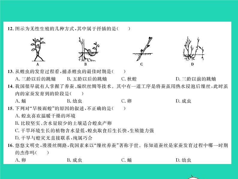 2022八年级生物下册第七单元生物圈中生命的延续和发展第一章生物的生殖和发育综合检测习题课件新版新人教版04