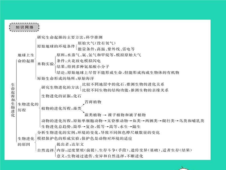 2022八年级生物下册第七单元生物圈中生命的延续和发展第三章生命起源和生物进化章末复习与小结习题课件新版新人教版第2页