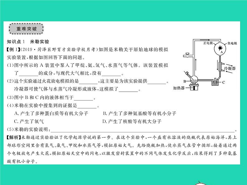 2022八年级生物下册第七单元生物圈中生命的延续和发展第三章生命起源和生物进化章末复习与小结习题课件新版新人教版第3页