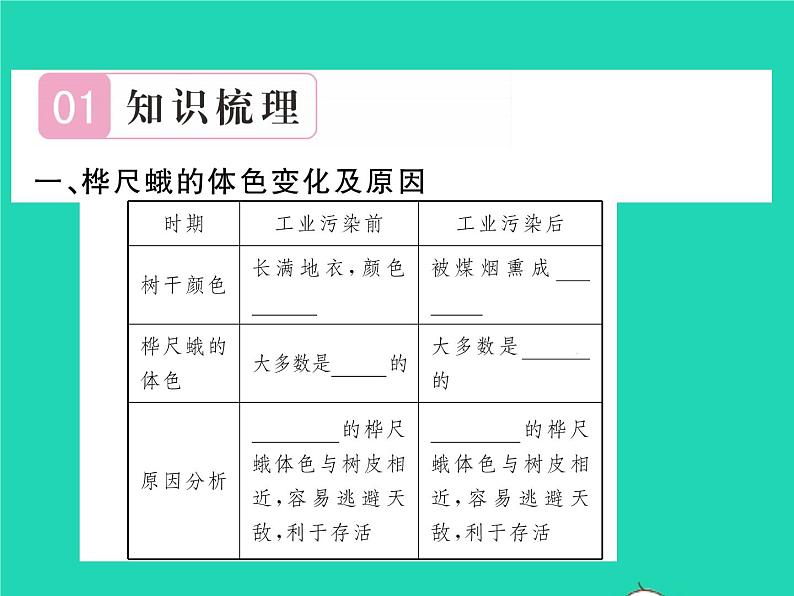 2022八年级生物下册第七单元生物圈中生命的延续和发展第三章生命起源和生物进化第三节生物进化的原因第1课时保护色的形成习题课件新版新人教版02