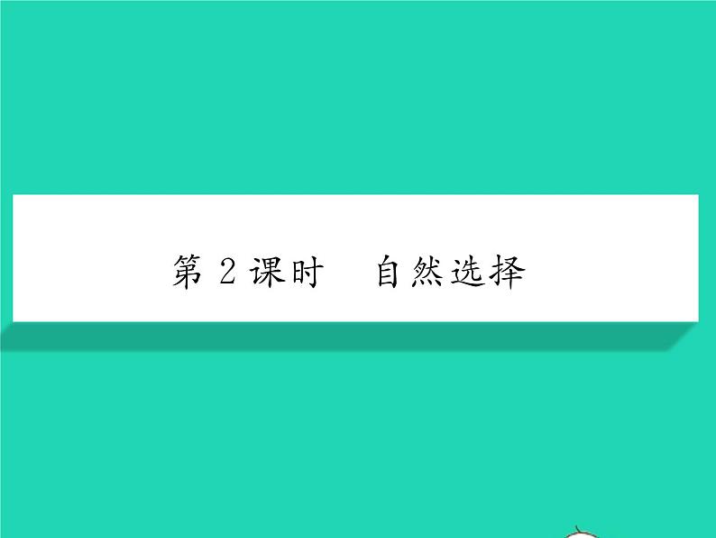 2022八年级生物下册第七单元生物圈中生命的延续和发展第三章生命起源和生物进化第三节生物进化的原因第2课时自然选择习题课件新版新人教版01