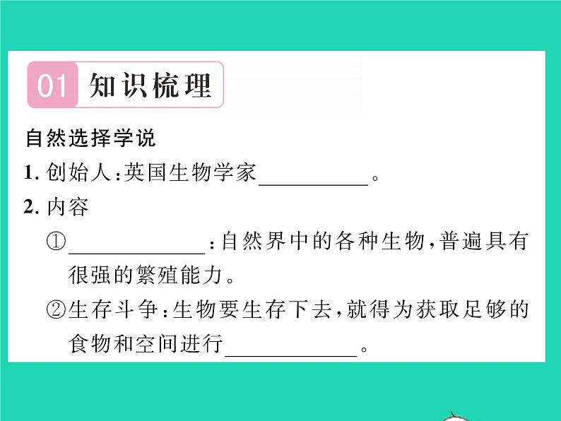 2022八年级生物下册第七单元生物圈中生命的延续和发展第三章生命起源和生物进化第三节生物进化的原因第2课时自然选择习题课件新版新人教版02