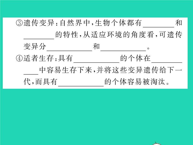 2022八年级生物下册第七单元生物圈中生命的延续和发展第三章生命起源和生物进化第三节生物进化的原因第2课时自然选择习题课件新版新人教版03