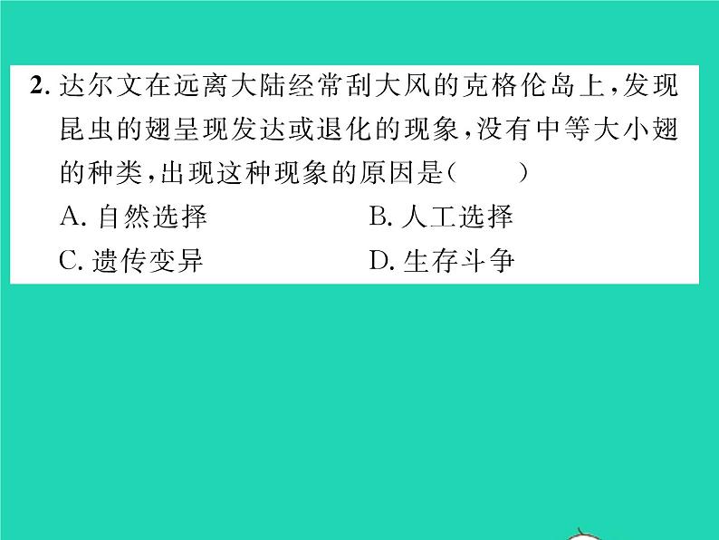 2022八年级生物下册第七单元生物圈中生命的延续和发展第三章生命起源和生物进化第三节生物进化的原因第2课时自然选择习题课件新版新人教版06