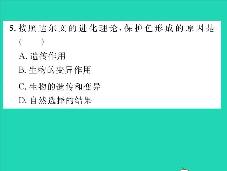 2022八年级生物下册第七单元生物圈中生命的延续和发展第三章生命起源和生物进化第三节生物进化的原因第2课时自然选择习题课件新版新人教版08