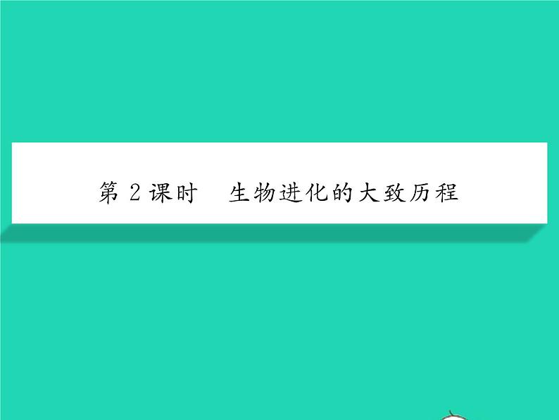 2022八年级生物下册第七单元生物圈中生命的延续和发展第三章生命起源和生物进化第二节生物进化的历程第2课时生物进化的大致历程习题课件新版新人教版01