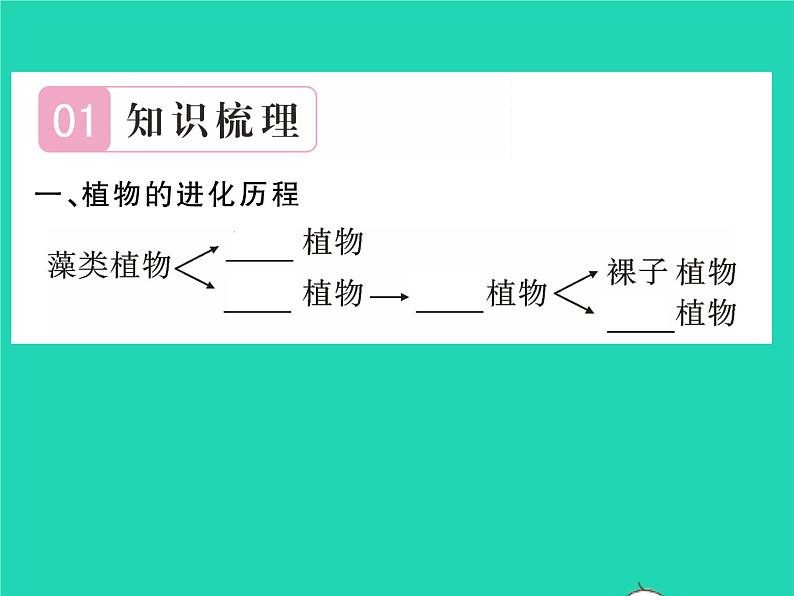 2022八年级生物下册第七单元生物圈中生命的延续和发展第三章生命起源和生物进化第二节生物进化的历程第2课时生物进化的大致历程习题课件新版新人教版02