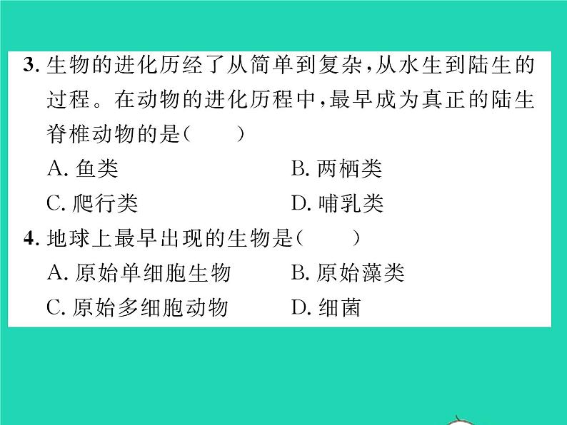 2022八年级生物下册第七单元生物圈中生命的延续和发展第三章生命起源和生物进化第二节生物进化的历程第2课时生物进化的大致历程习题课件新版新人教版06