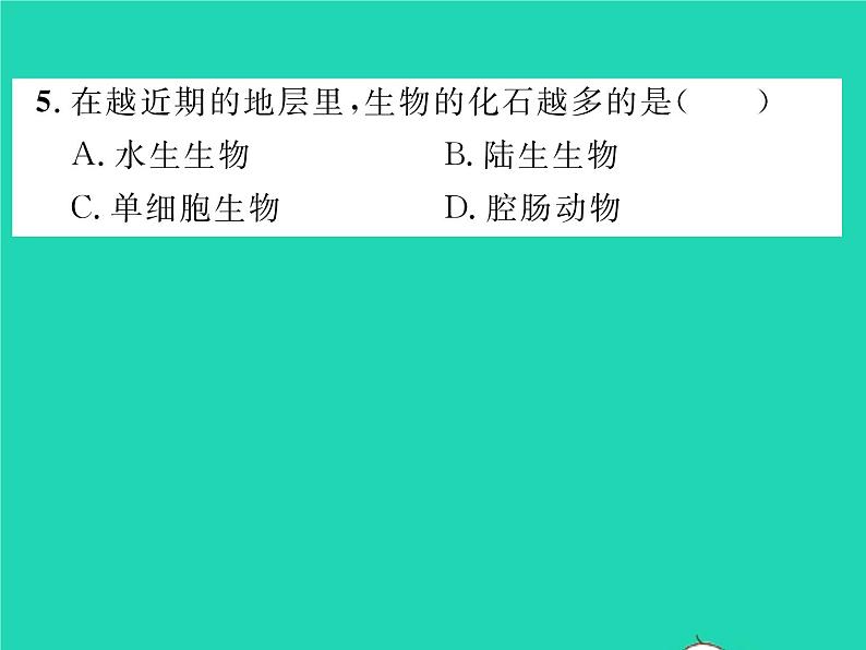 2022八年级生物下册第七单元生物圈中生命的延续和发展第三章生命起源和生物进化第二节生物进化的历程第2课时生物进化的大致历程习题课件新版新人教版07