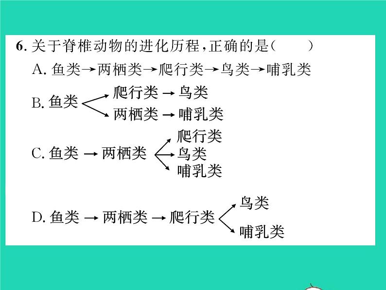 2022八年级生物下册第七单元生物圈中生命的延续和发展第三章生命起源和生物进化第二节生物进化的历程第2课时生物进化的大致历程习题课件新版新人教版08