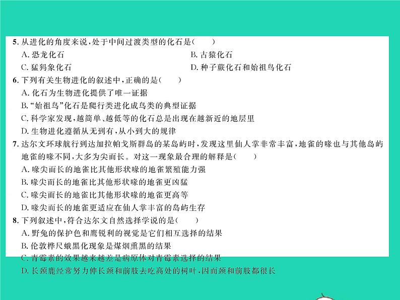 2022八年级生物下册第七单元生物圈中生命的延续和发展第三章生命起源和生物进化综合检测习题课件新版新人教版03