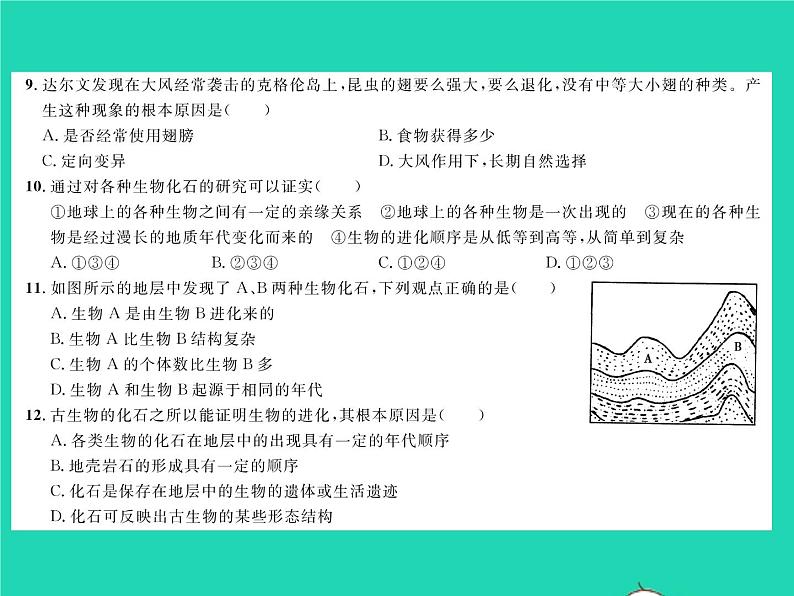 2022八年级生物下册第七单元生物圈中生命的延续和发展第三章生命起源和生物进化综合检测习题课件新版新人教版04