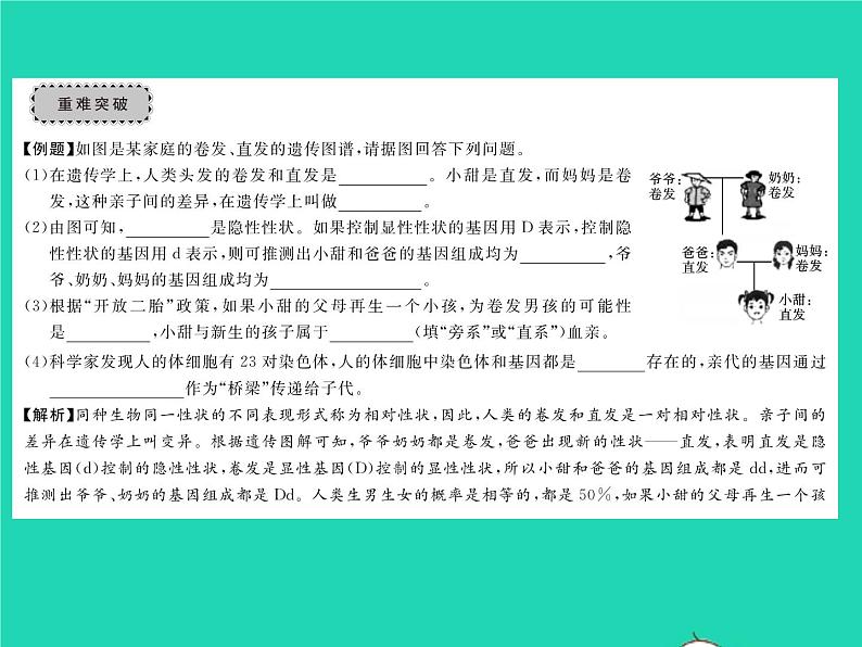 2022八年级生物下册第七单元生物圈中生命的延续和发展第二章生物的遗传与变异章末复习与小结习题课件新版新人教版03