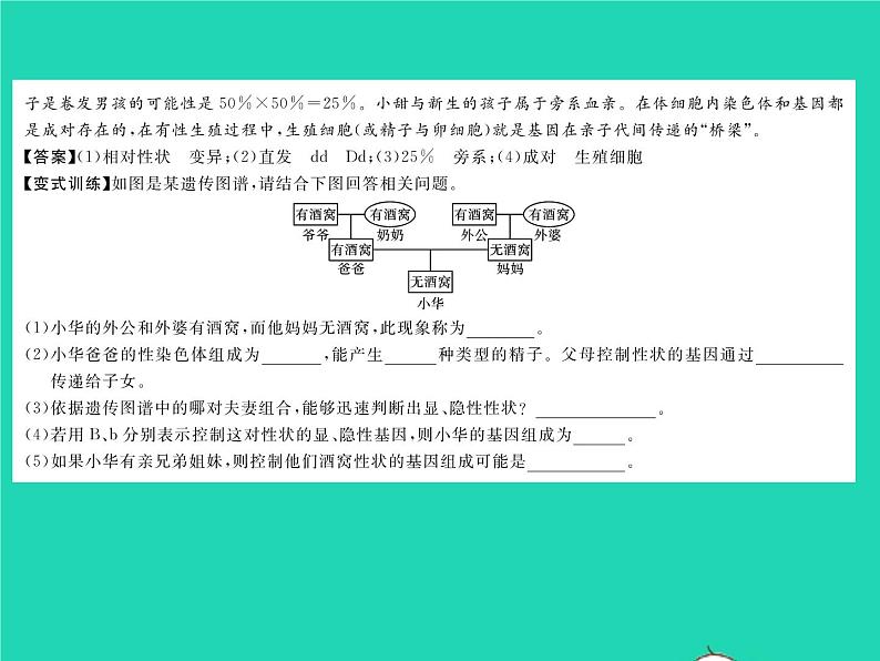 2022八年级生物下册第七单元生物圈中生命的延续和发展第二章生物的遗传与变异章末复习与小结习题课件新版新人教版04