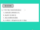 2022八年级生物下册第七单元生物圈中生命的延续和发展第二章生物的遗传与变异章末复习与小结习题课件新版新人教版