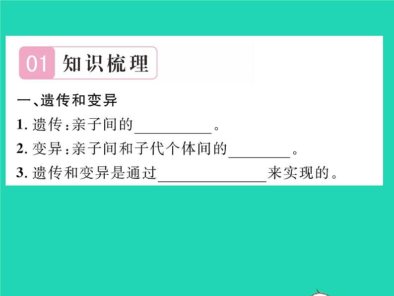 2022八年级生物下册第七单元生物圈中生命的延续和发展第二章生物的遗传与变异第一节基因控制生物的性状第1课时生物的性状习题课件新版新人教版02