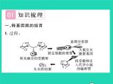2022八年级生物下册第七单元生物圈中生命的延续和发展第二章生物的遗传与变异第一节基因控制生物的性状第2课时基因控制生物的性状习题课件新版新人教版