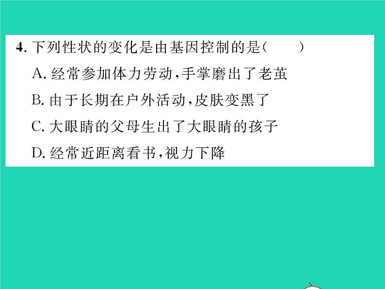 2022八年级生物下册第七单元生物圈中生命的延续和发展第二章生物的遗传与变异第一节基因控制生物的性状第2课时基因控制生物的性状习题课件新版新人教版第7页