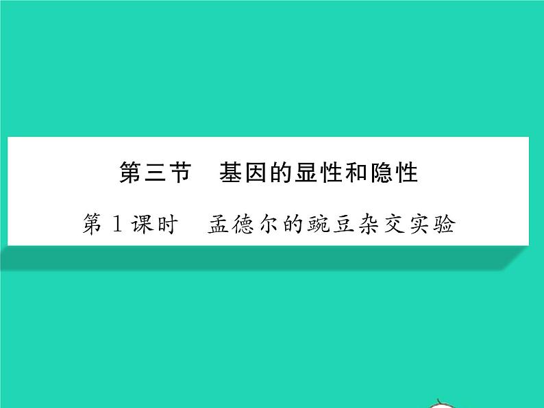 2022八年级生物下册第七单元生物圈中生命的延续和发展第二章生物的遗传与变异第三节基因的显性和隐性第1课时孟德尔的豌豆杂交实验习题课件新版新人教版01