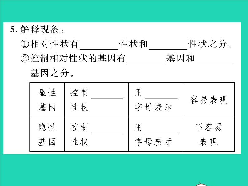 2022八年级生物下册第七单元生物圈中生命的延续和发展第二章生物的遗传与变异第三节基因的显性和隐性第1课时孟德尔的豌豆杂交实验习题课件新版新人教版04