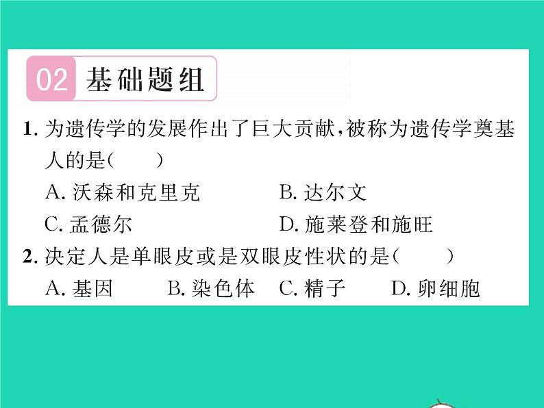 2022八年级生物下册第七单元生物圈中生命的延续和发展第二章生物的遗传与变异第三节基因的显性和隐性第1课时孟德尔的豌豆杂交实验习题课件新版新人教版06