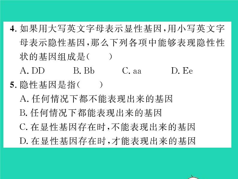 2022八年级生物下册第七单元生物圈中生命的延续和发展第二章生物的遗传与变异第三节基因的显性和隐性第1课时孟德尔的豌豆杂交实验习题课件新版新人教版08