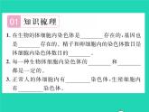 2022八年级生物下册第七单元生物圈中生命的延续和发展第二章生物的遗传与变异第二节基因在亲子代间的传递第2课时基因经精子或卵细胞的传递习题课件新版新人教版