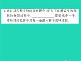 2022八年级生物下册第七单元生物圈中生命的延续和发展第二章生物的遗传与变异第二节基因在亲子代间的传递第2课时基因经精子或卵细胞的传递习题课件新版新人教版