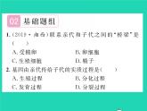 2022八年级生物下册第七单元生物圈中生命的延续和发展第二章生物的遗传与变异第二节基因在亲子代间的传递第2课时基因经精子或卵细胞的传递习题课件新版新人教版