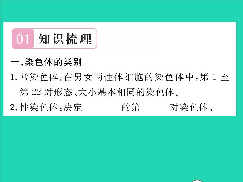 2022八年级生物下册第七单元生物圈中生命的延续和发展第二章生物的遗传与变异第四节人的性别遗传第1课时男女染色体的差别习题课件新版新人教版02