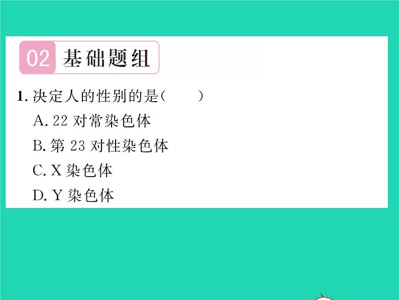 2022八年级生物下册第七单元生物圈中生命的延续和发展第二章生物的遗传与变异第四节人的性别遗传第1课时男女染色体的差别习题课件新版新人教版05