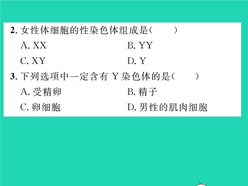 2022八年级生物下册第七单元生物圈中生命的延续和发展第二章生物的遗传与变异第四节人的性别遗传第1课时男女染色体的差别习题课件新版新人教版06