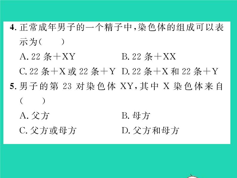 2022八年级生物下册第七单元生物圈中生命的延续和发展第二章生物的遗传与变异第四节人的性别遗传第1课时男女染色体的差别习题课件新版新人教版07