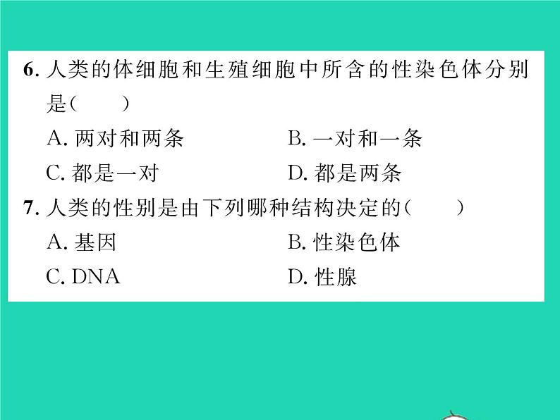 2022八年级生物下册第七单元生物圈中生命的延续和发展第二章生物的遗传与变异第四节人的性别遗传第1课时男女染色体的差别习题课件新版新人教版08