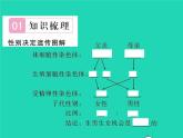 2022八年级生物下册第七单元生物圈中生命的延续和发展第二章生物的遗传与变异第四节人的性别遗传第2课时生男生女机会均等习题课件新版新人教版
