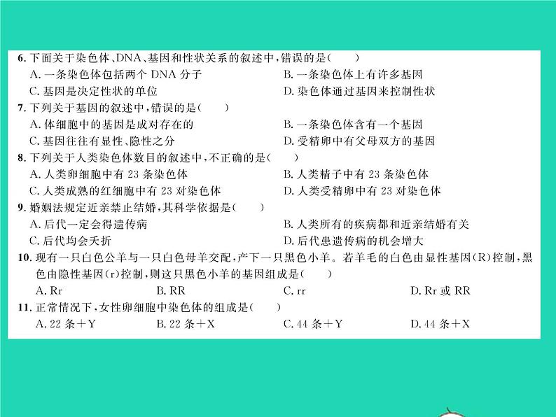 2022八年级生物下册第七单元生物圈中生命的延续和发展第二章生物的遗传与变异综合检测习题课件新版新人教版第3页