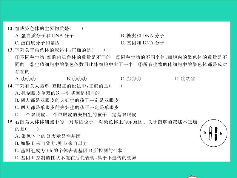 2022八年级生物下册第七单元生物圈中生命的延续和发展第二章生物的遗传与变异综合检测习题课件新版新人教版第4页