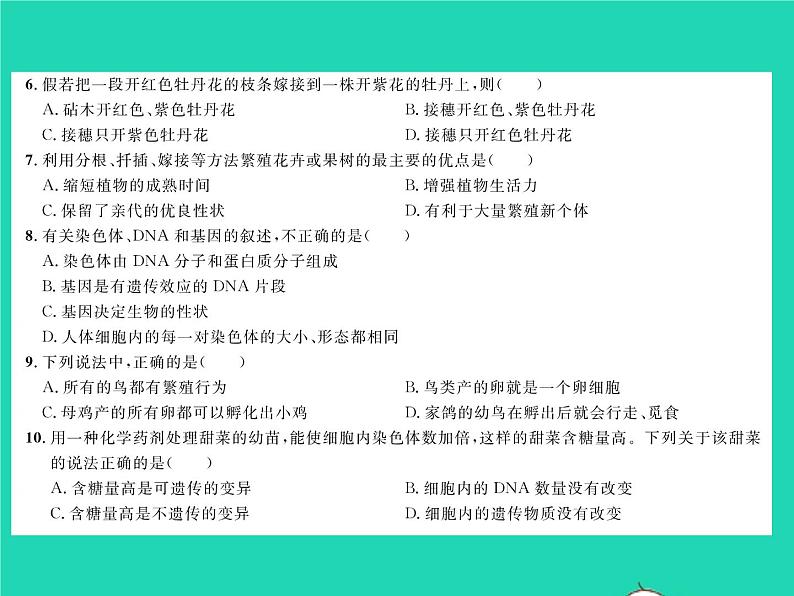 2022八年级生物下学期期中测试习题课件新版新人教版第3页