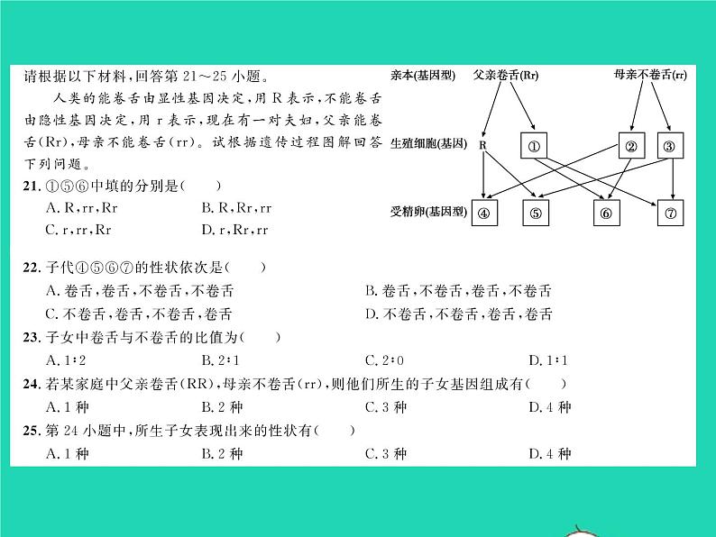 2022八年级生物下学期期中测试习题课件新版新人教版第6页