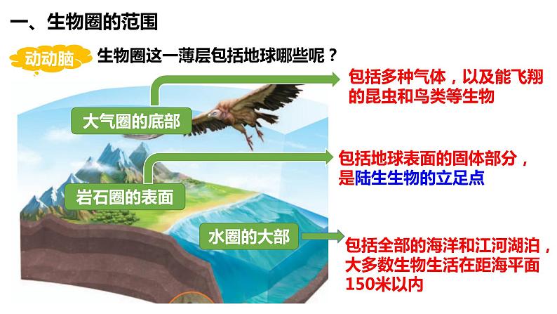 1.2.3 生物圈是最大的生态系统（课件）第4页
