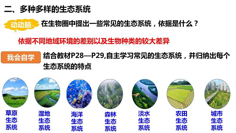 1.2.3 生物圈是最大的生态系统（课件）第6页