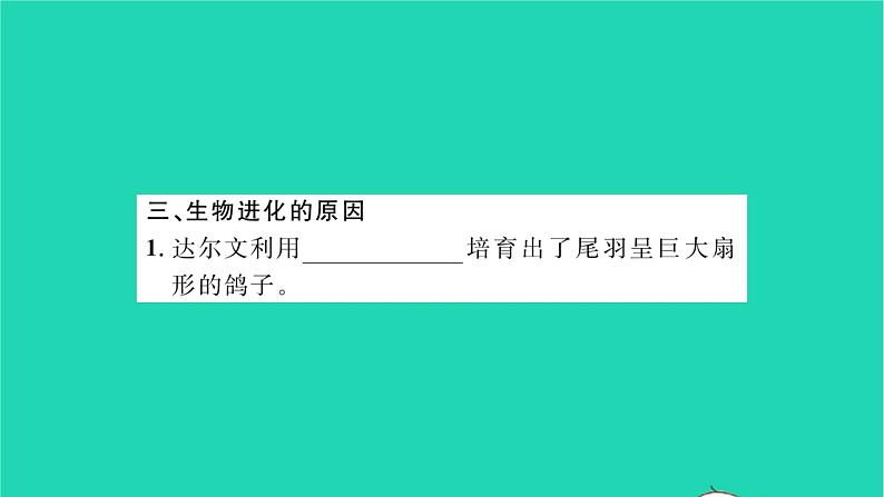 2022—2023学年度新版生物北师大版八年级下册第7单元生命的演化第21章生命的发生和发展第2节生物的进化习题课件第4页