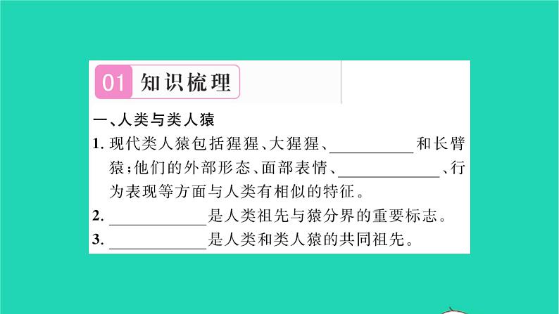 2022—2023学年度新版生物北师大版八年级下册第7单元生命的演化第21章生命的发生和发展第3节人类的起源与进化习题课件02