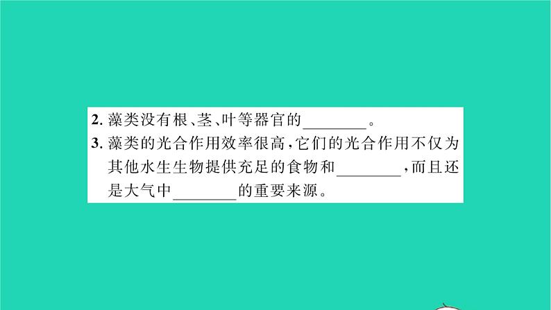 2022—2023学年度新版生物北师大版八年级下册第7单元生命的演化第22章物种的多样性第2节原生生物的主要类群习题课件05