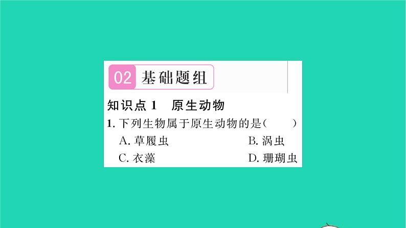 2022—2023学年度新版生物北师大版八年级下册第7单元生命的演化第22章物种的多样性第2节原生生物的主要类群习题课件06