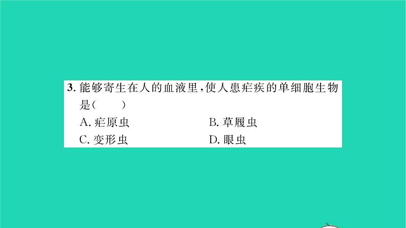 2022—2023学年度新版生物北师大版八年级下册第7单元生命的演化第22章物种的多样性第2节原生生物的主要类群习题课件08