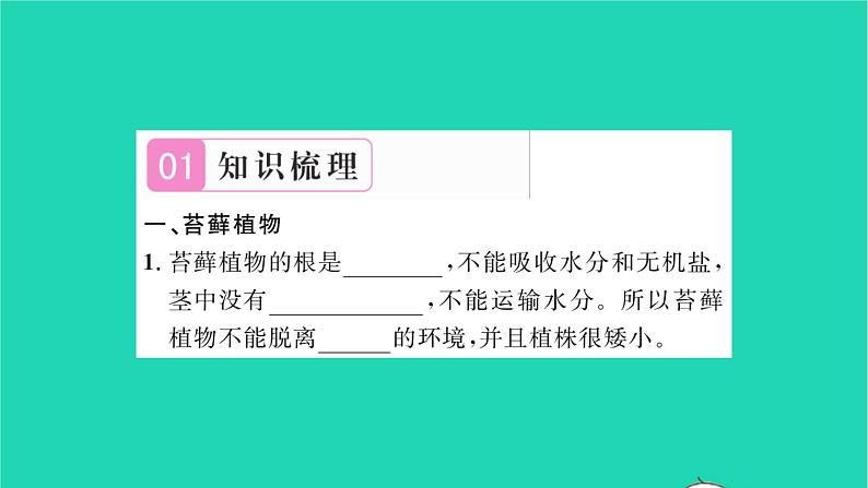 2022—2023学年度新版生物北师大版八年级下册第7单元生命的演化第22章物种的多样性第3节植物的主要类群第1课时苔藓植物和蕨类植物习题课件第2页