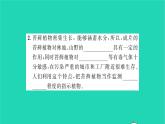 2022—2023学年度新版生物北师大版八年级下册第7单元生命的演化第22章物种的多样性第3节植物的主要类群第1课时苔藓植物和蕨类植物习题课件