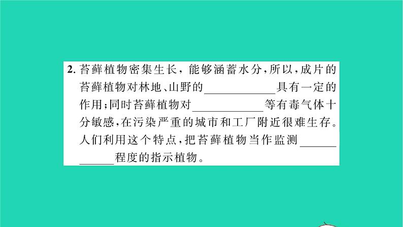 2022—2023学年度新版生物北师大版八年级下册第7单元生命的演化第22章物种的多样性第3节植物的主要类群第1课时苔藓植物和蕨类植物习题课件第3页