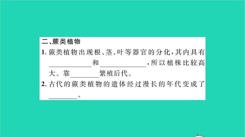 2022—2023学年度新版生物北师大版八年级下册第7单元生命的演化第22章物种的多样性第3节植物的主要类群第1课时苔藓植物和蕨类植物习题课件第4页